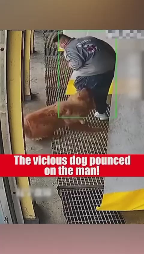 Ultrasonic Dog Chaser – Handheld Humane Dog & Animal Deterrent